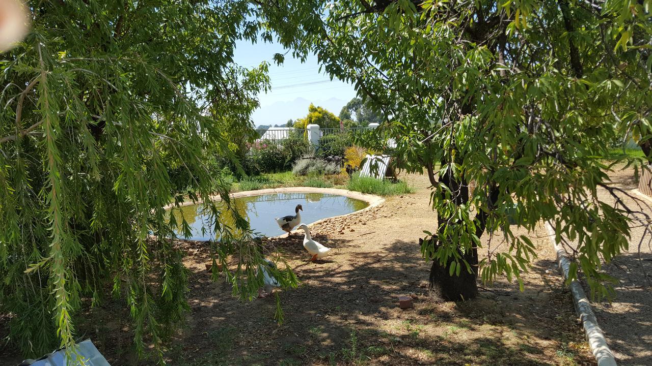 Merindol Manor Riebeek-West 外观 照片